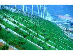 高鐵公路鐵路護(hù)坡圖片