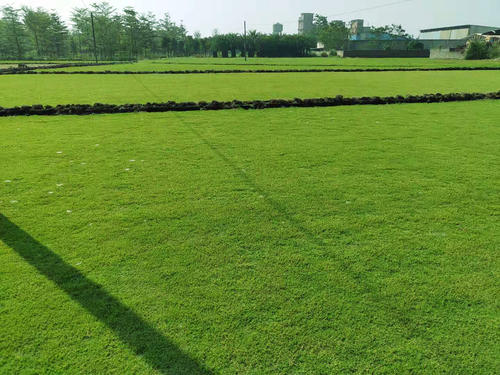 1646891031810962.jpg 1646891031810962.jpg