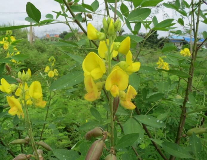 1649038699720419.jpg 1649038699720419.jpg