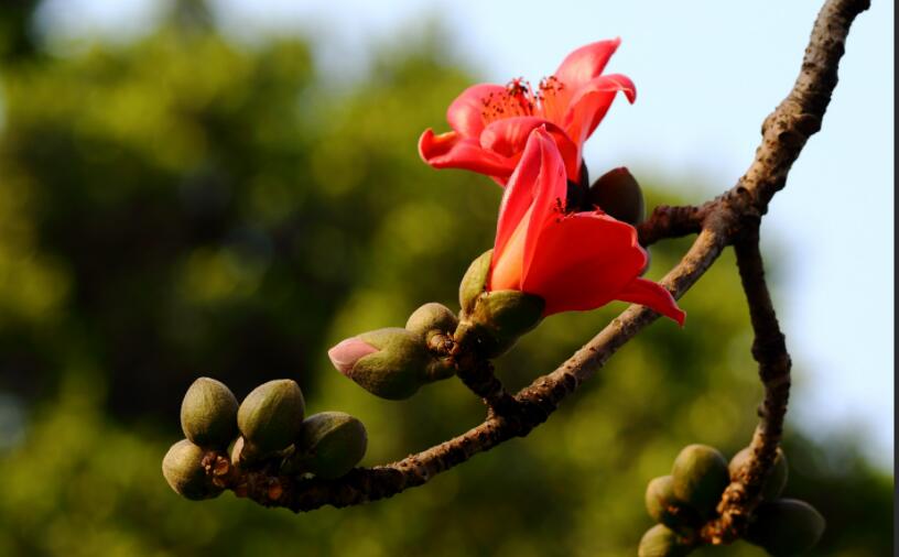 1649039188185044.jpg 1649039188185044.jpg