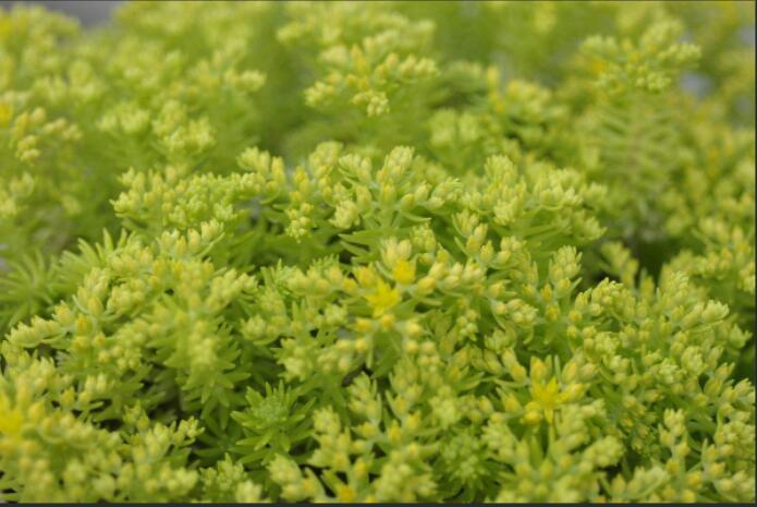 1649660892935045.jpg 1649660892935045.jpg