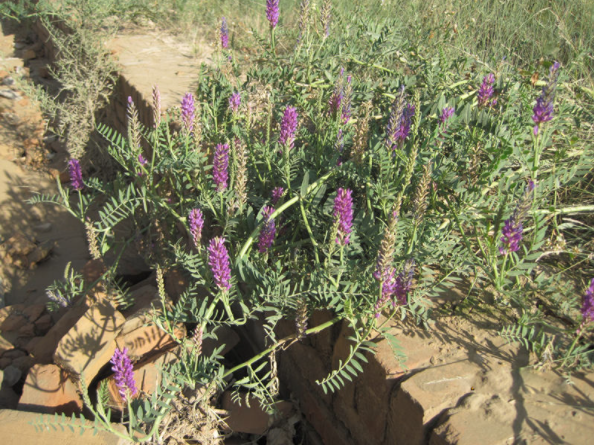 1651546264480030.png 1651546264480030.png