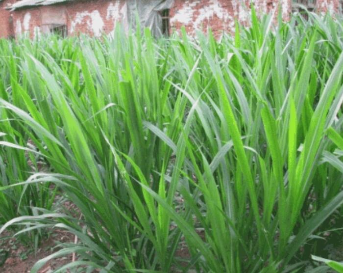 1652244056510720.jpg 1652244056510720.jpg