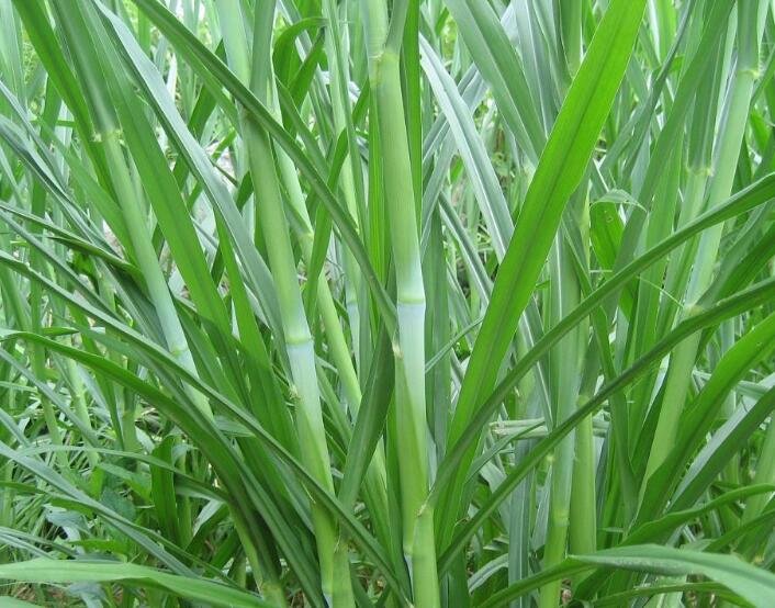 1653145512106392.jpg 1653145512106392.jpg