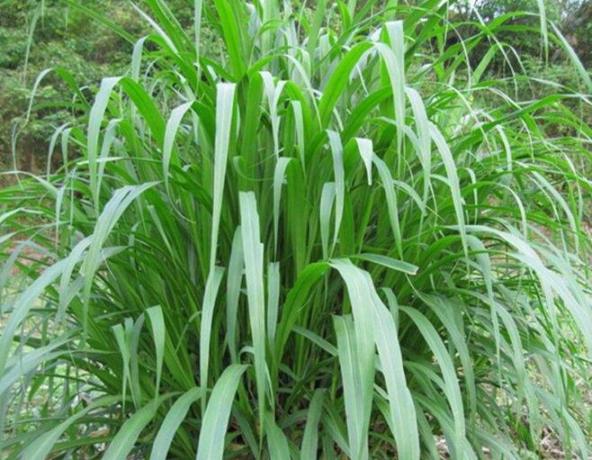 1653798938400892.jpg 1653798938400892.jpg