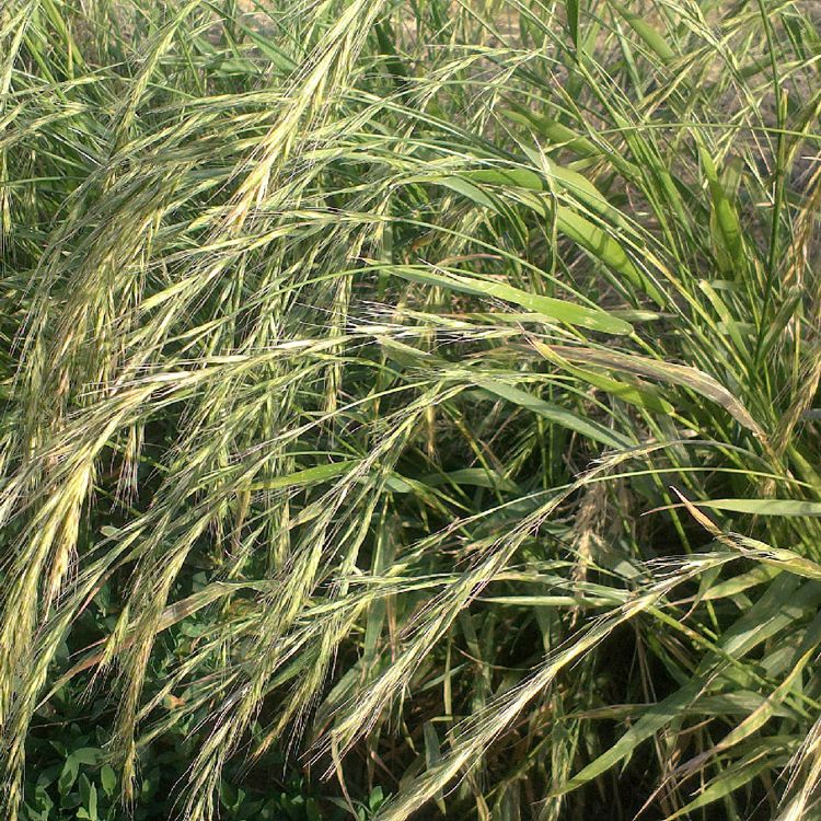 1654494256395679.jpg 1654494256395679.jpg