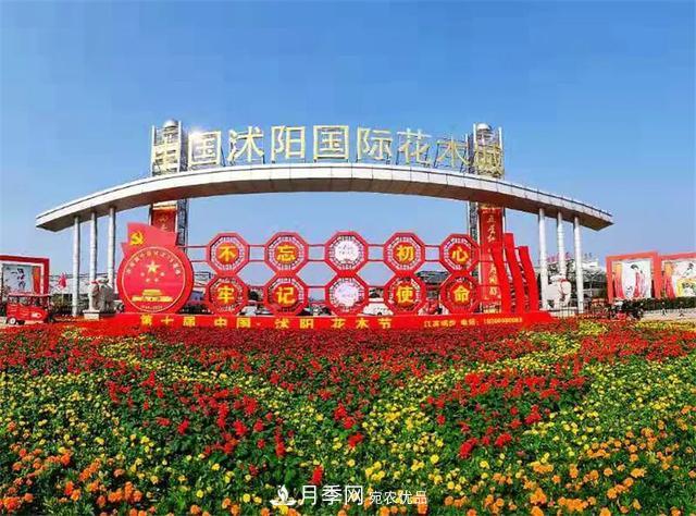 這些中國著名苗木產地你知道幾個?值得收藏!(圖2) 值得收藏!這些全國著名苗木產地你知道幾個?