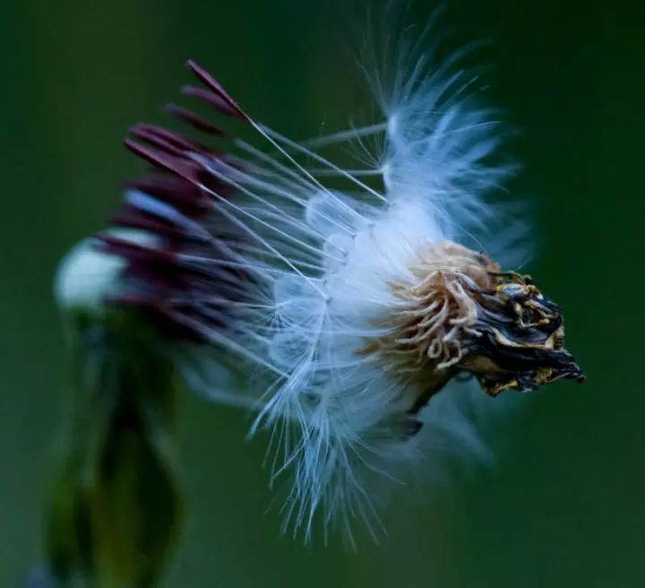 1673157557398951.jpg 微信圖片_20220818221919.jpg