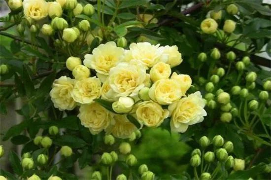 1673158282994285.jpg 微信圖片_20230108112100.jpg