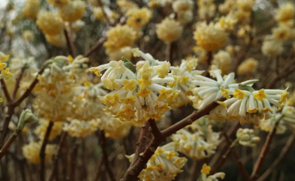 1673158507439955.jpg 微信圖片_20230108141338.jpg