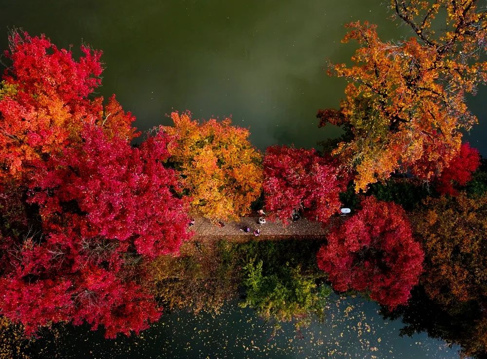 1673162036104832.jpg 微信圖片_20230107171416.jpg