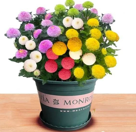 1673162319901701.jpg 微信圖片_20230108151712.jpg