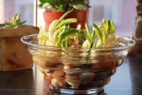 1673162439288349.jpg 微信圖片_20230108152010.jpg