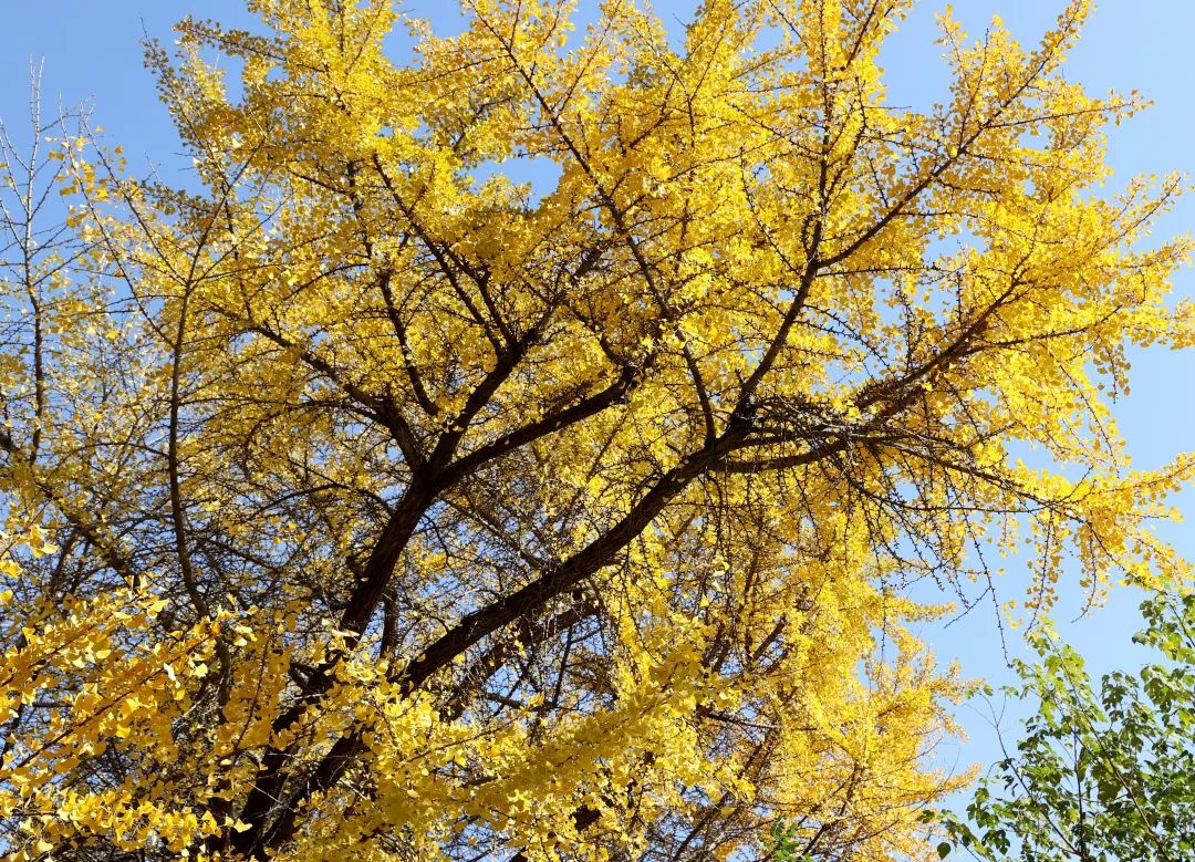 1673530133812302.jpg 微信圖片_20230112212803.jpg