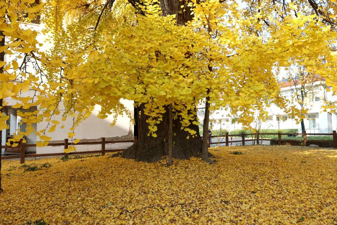 1673530143470621.jpg 微信圖片_20230112212754.jpg