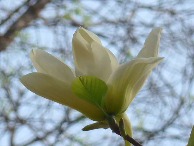 1673560348637627.jpg 微信圖片_20230113055150.jpg