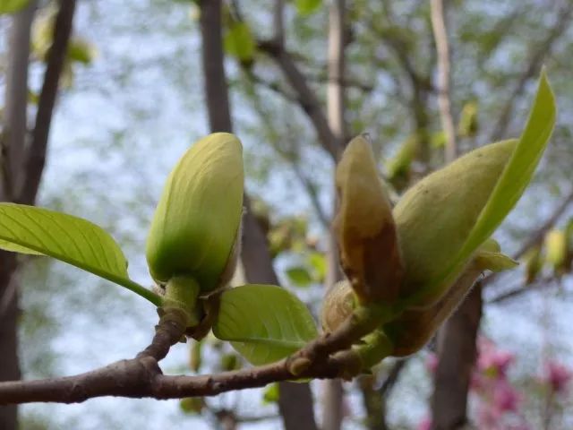 1673560355915057.jpg 微信圖片_20230113055147.jpg