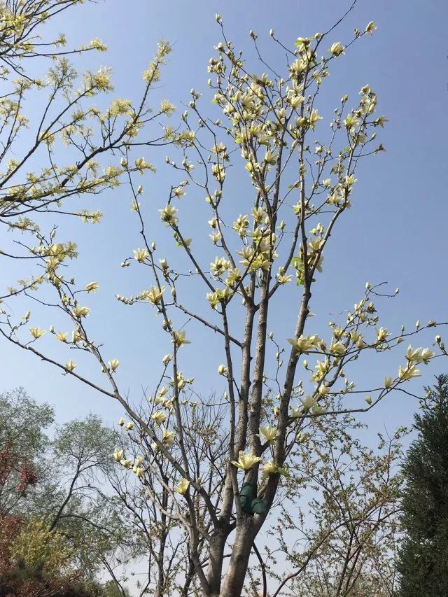 1673560363457226.jpg 微信圖片_20230113055156.jpg