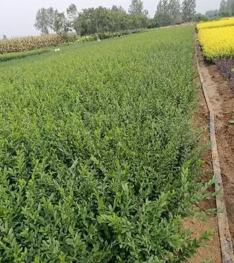 1673824672503218.jpg 微信圖片_20230115191839.jpg