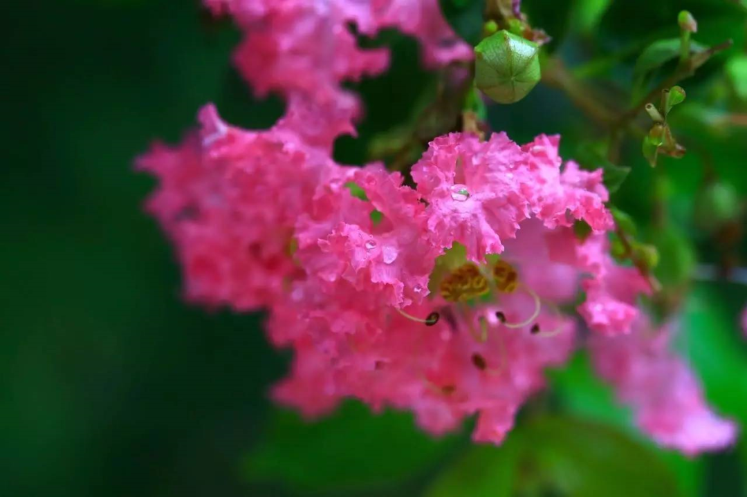 1673825214508944.png 微信圖片_20230112201812.png