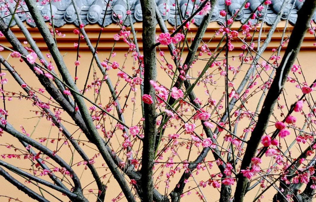 1673825607900559.jpg 微信圖片_20230108124125.jpg