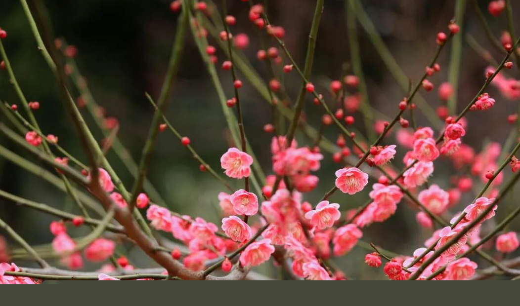 1673825622227707.jpg 微信圖片_20230108124140.jpg