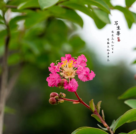 1675200253683649.png 微信圖片_20230112201817.png