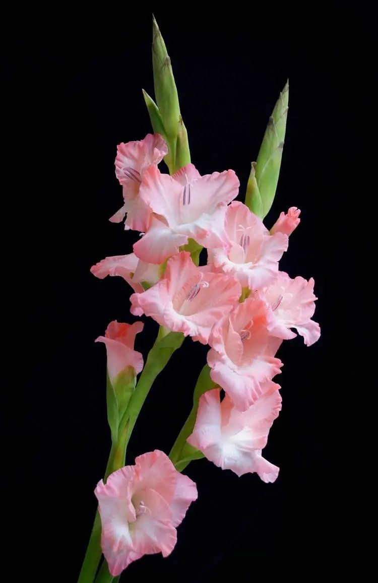 1675291782819587.jpg 微信圖片_20230202064840.jpg