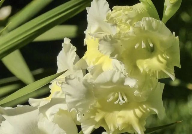 1675291841824369.jpg 微信圖片_20230202064900.jpg