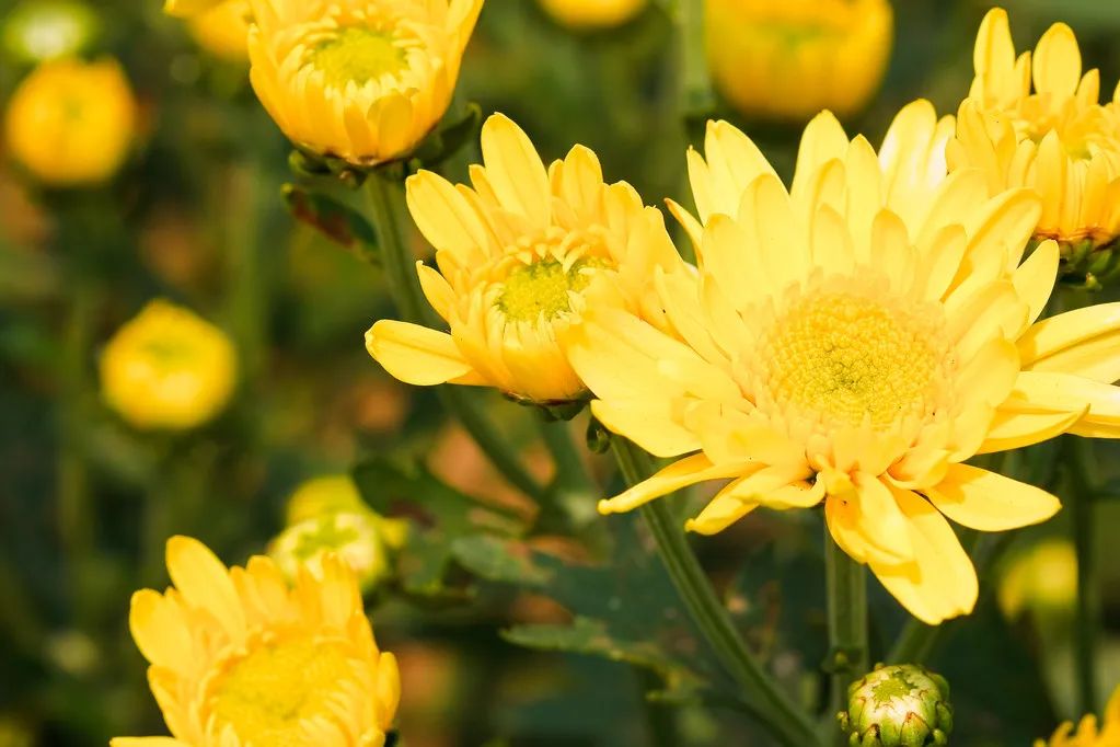 1675697547548464.jpg 微信圖片_20221104183816.jpg