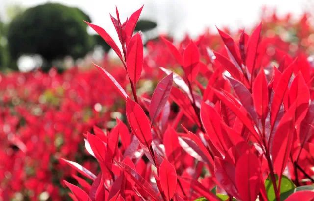 1676582100148183.jpg 微信圖片_20230204142152.jpg