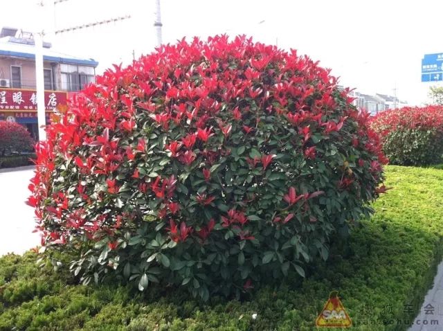 1676582112998488.jpg 微信圖片_20230204142205.jpg