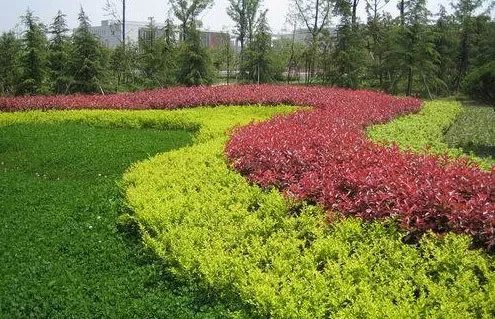 1676582121672233.jpg 微信圖片_20230204142209.jpg