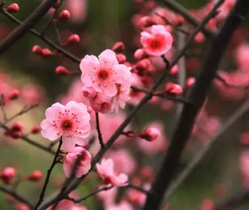 1676584288393070.jpg 微信圖片_20230207004539.jpg