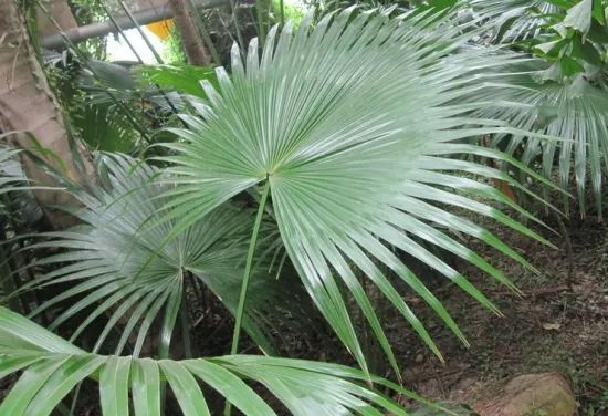 1676584364583877.jpg 微信圖片_20221029111922.jpg