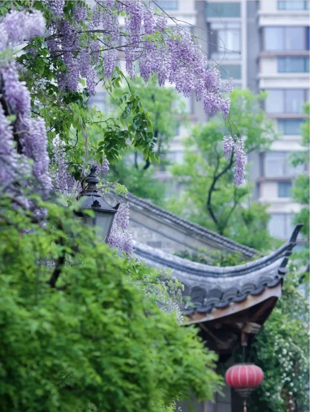 1676797205820746.jpg 微信圖片_20230206231750.jpg