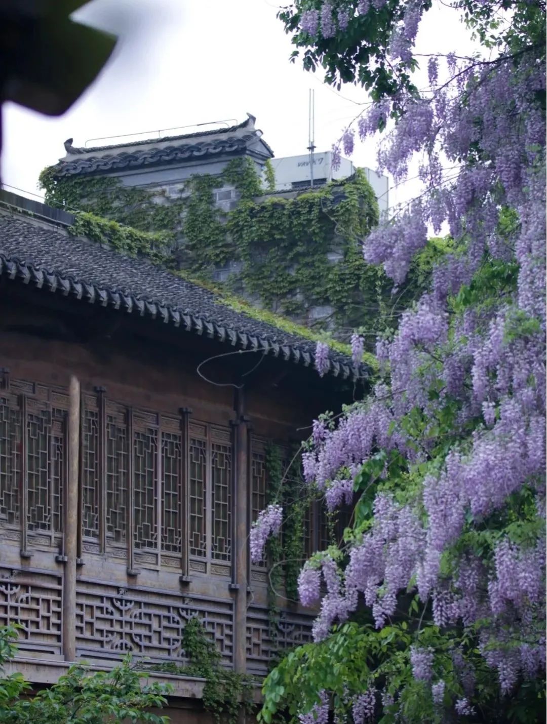 1676797223467584.jpg 微信圖片_20230206231813.jpg