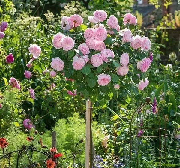 1676893715996954.jpg 微信圖片_20230211070220.jpg