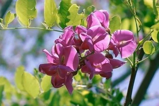 1676894941444643.jpg 微信圖片_20221025220231.jpg