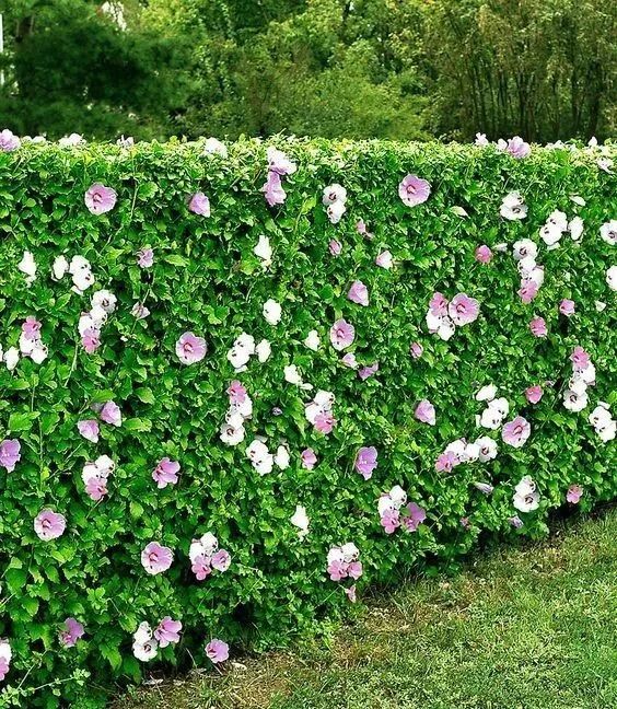 1676895088828775.jpg 微信圖片_20230220201013.jpg