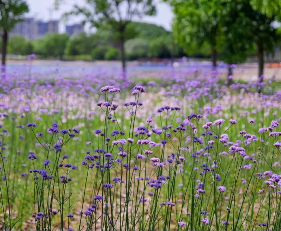 1676895140713017.jpg 微信圖片_20221023222547.jpg