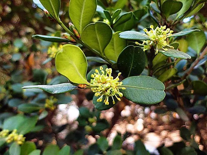 1676895997632292.jpg 微信圖片_20230204140815.jpg