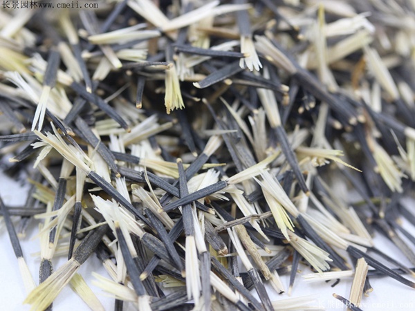 1712901358962073.jpg 1-1FF1124S4Q4.jpg