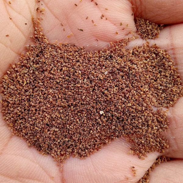 1713168377971870.jpg 1689301221207187.jpg