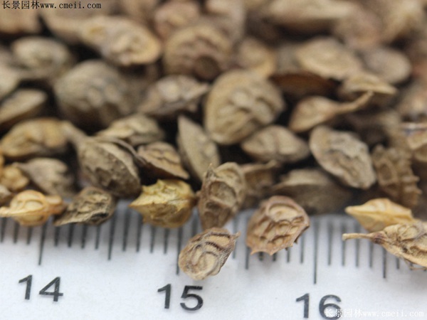 1713168843930221.jpg 1-1F6261Q131F8.jpg